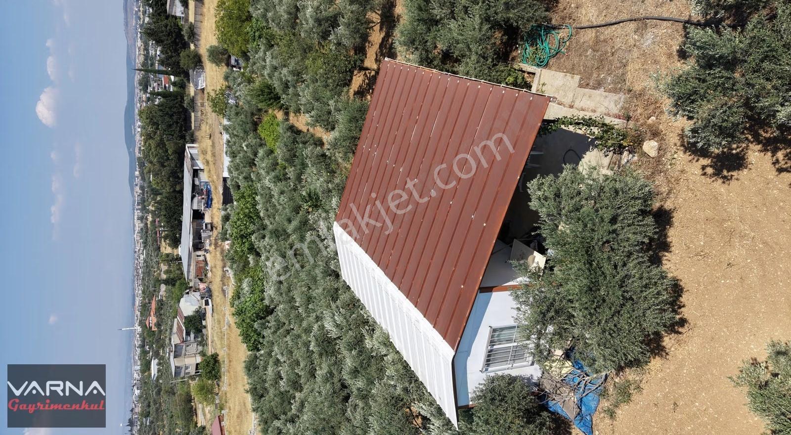 Menderes Dereköy'de Satılık 4765 M2 Resmi Tapulu Tarla - Görsel 6