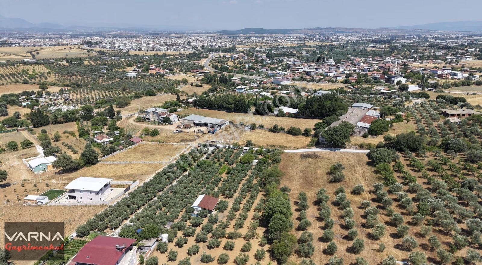 Menderes Dereköy'de Satılık 4765 M2 Resmi Tapulu Tarla - Görsel 9