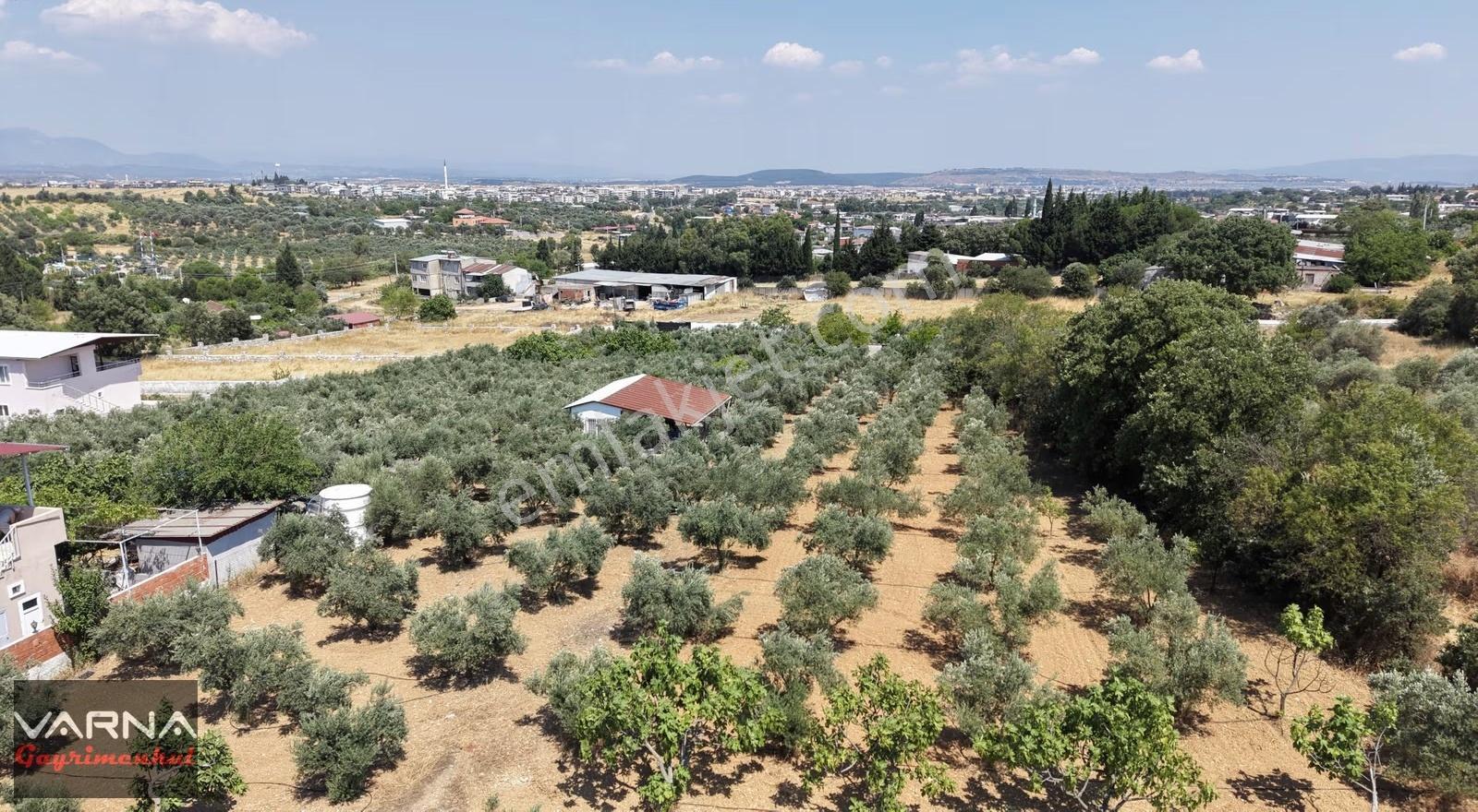Menderes Dereköy'de Satılık 4765 M2 Resmi Tapulu Tarla - Görsel 11