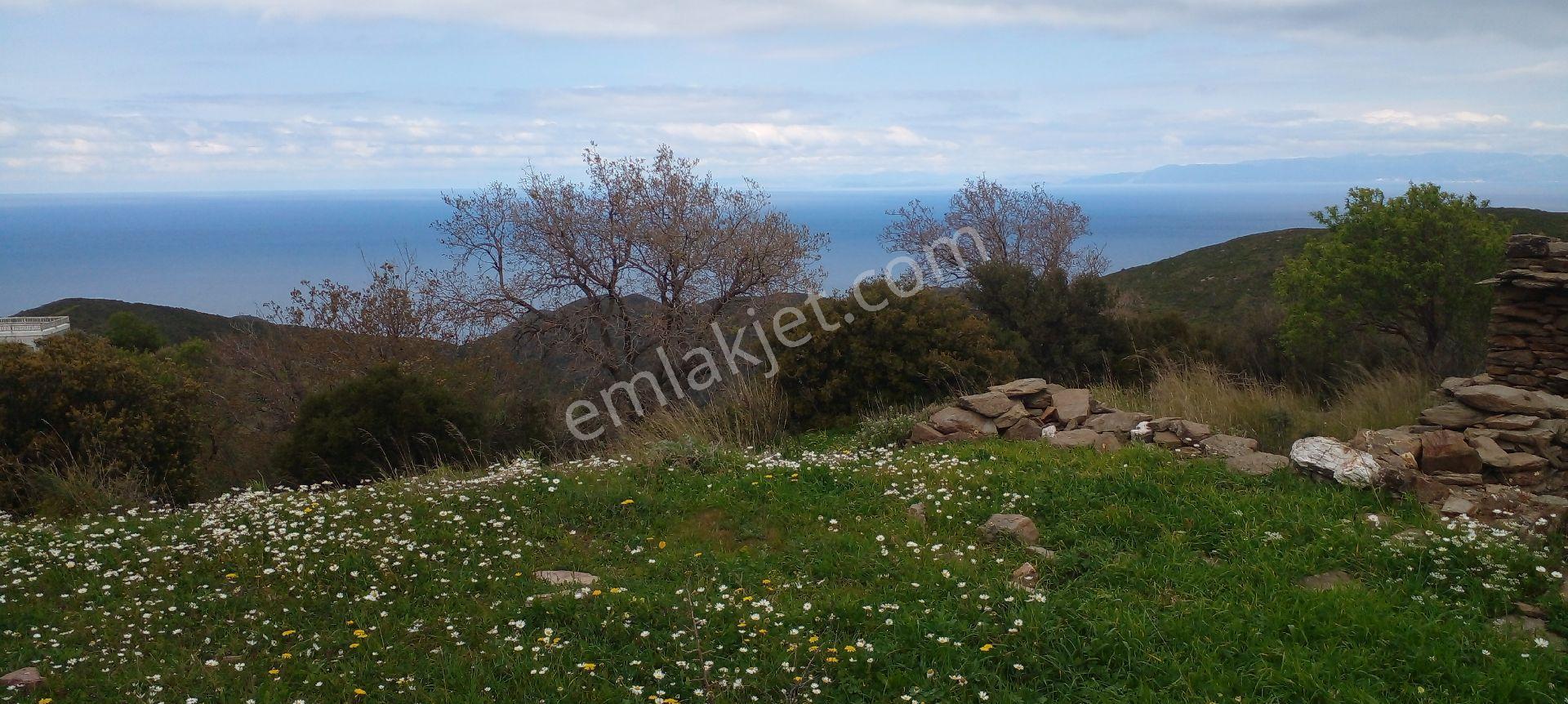Mor Çiçek Emlak Karaburun Sarpıncıkta Full Deniz Manzaralı Tarla - Görsel 10