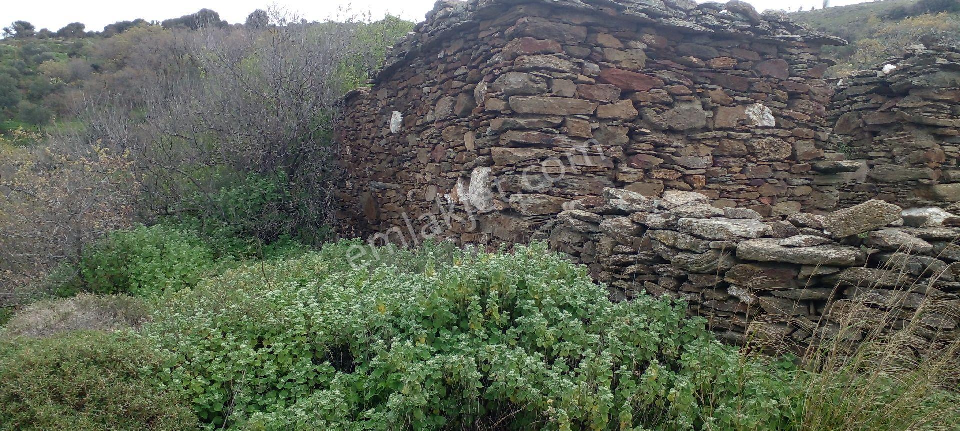 Mor Çiçek Emlak Karaburun Sarpıncıkta Full Deniz Manzaralı Tarla