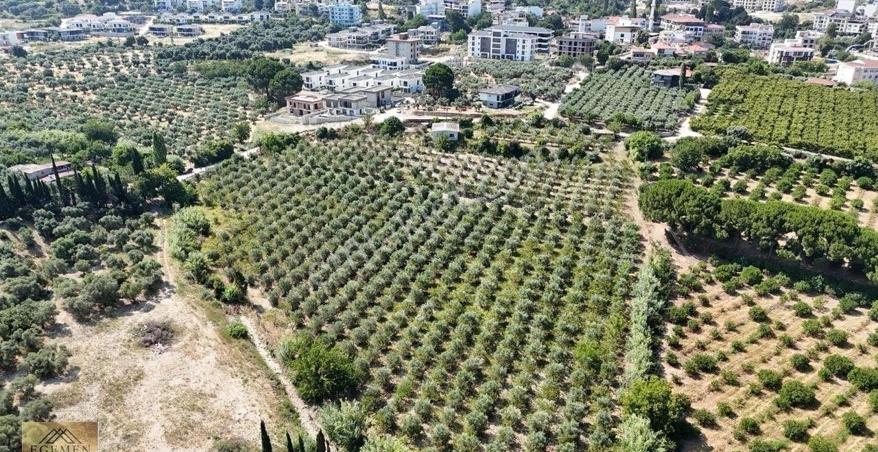 Kuşadası'nın Yatırım Değeri Yüksek Bölgesinde 11.115 M2 Villa İmarlı Arsa - Görsel 5