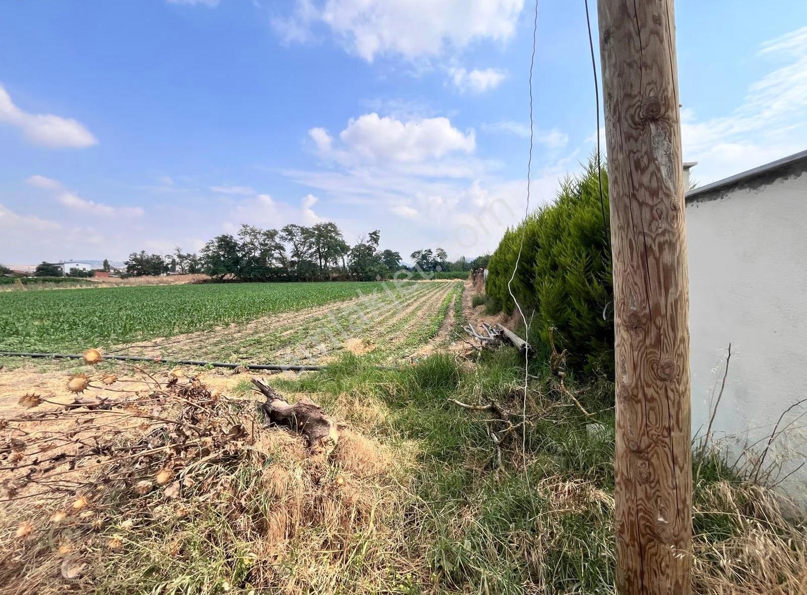 Altıeylül Köseler Mahallesi Satılık Konut,villa İmarlı Arsa - Görsel 13