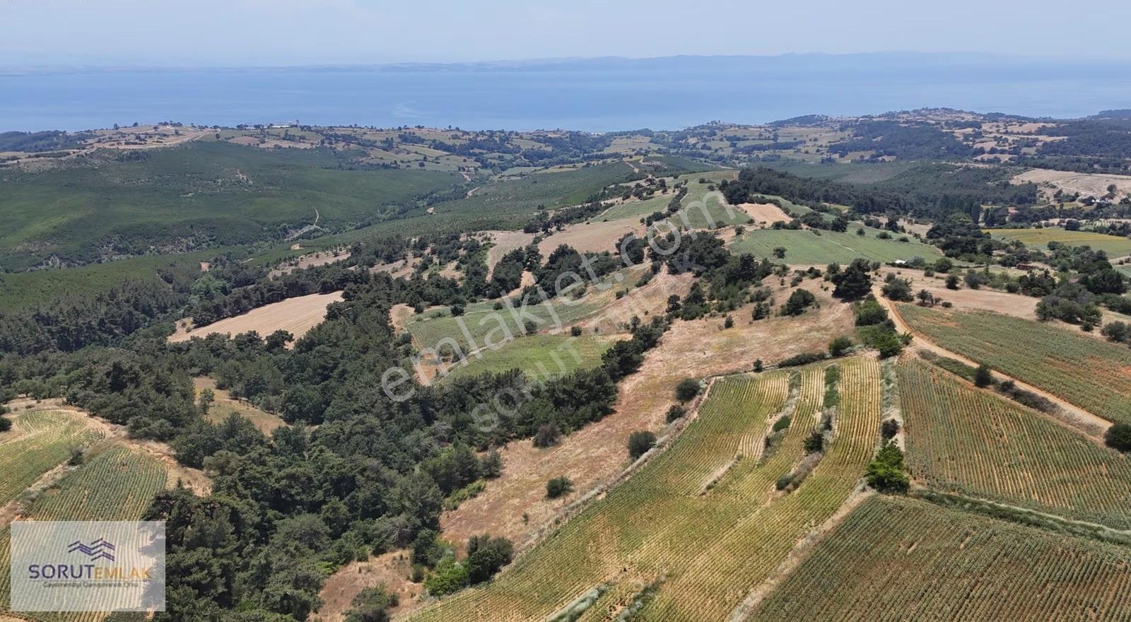 Saros Körfezi Manzaralı Dev Fırsat! Gökçetepe'de 12.956 M² Arazi - Görsel 5