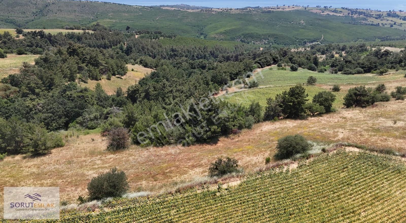 Saros Körfezi Manzaralı Dev Fırsat! Gökçetepe'de 12.956 M² Arazi - Görsel 12