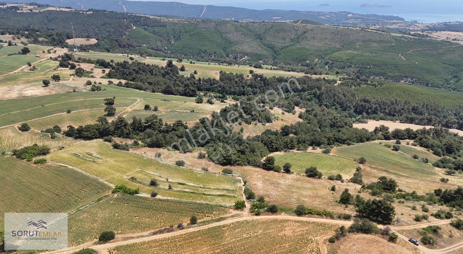 Saros Körfezi Manzaralı Dev Fırsat! Gökçetepe'de 12.956 M² Arazi - Görsel 14