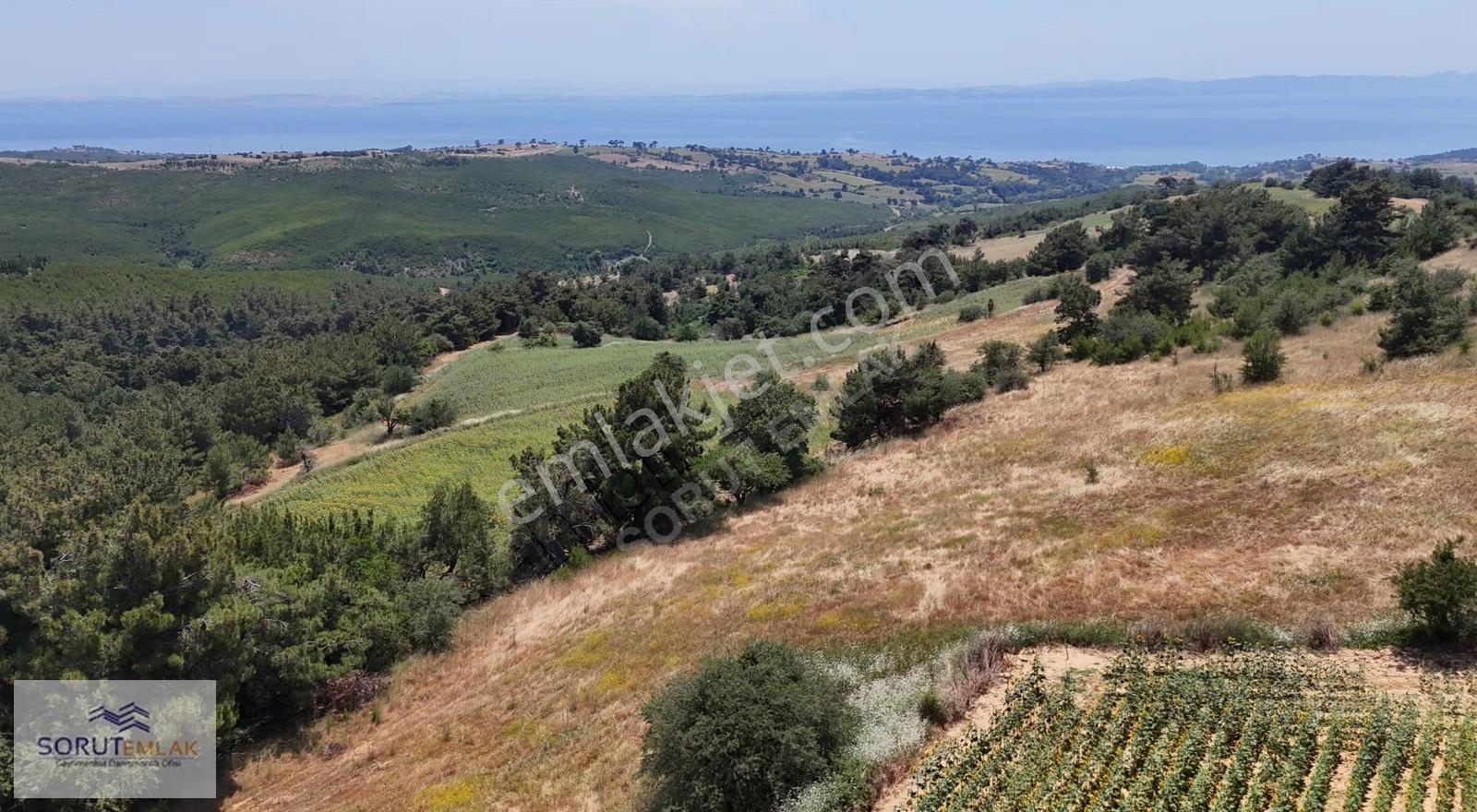 Saros Körfezi Manzaralı Dev Fırsat! Gökçetepe'de 12.956 M² Arazi - Görsel 9