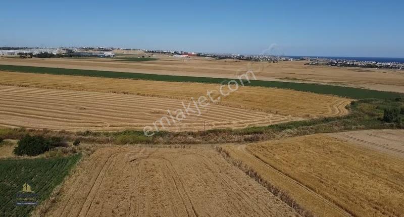 Silivri Gömüşyaka 4980m Tek Tapu - Görsel 10