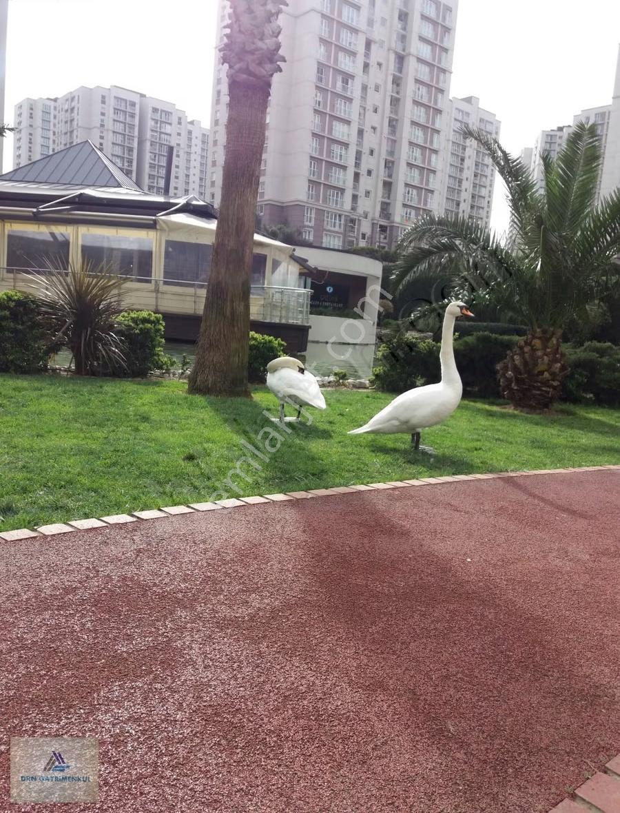 Avrupa Konutları Tem Tadilatlı Boş Kiralık 1+1 Daire - Görsel 24