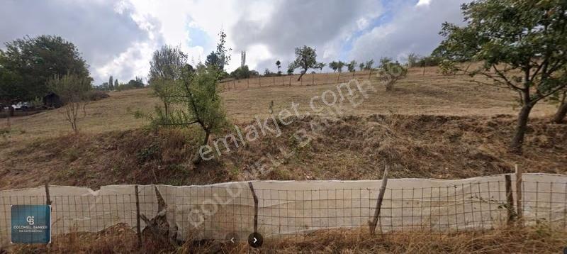 Çanakkale Biga Yenimallede Köy İçinde Tarla