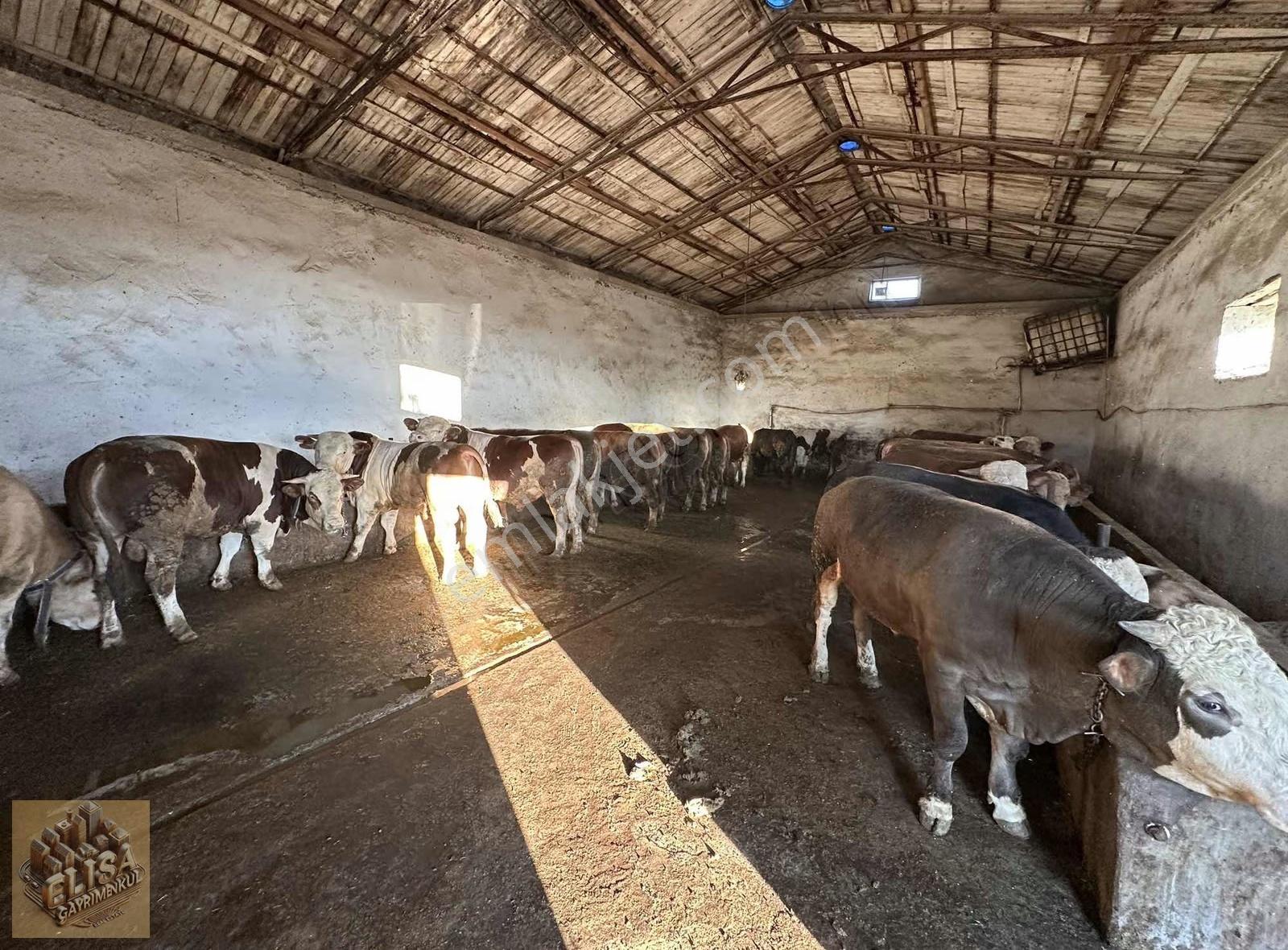 Bünyan Burhaniye'de 60 70 Büyük Başlık Satılık Ahır Ev Ve Arsa - Görsel 27