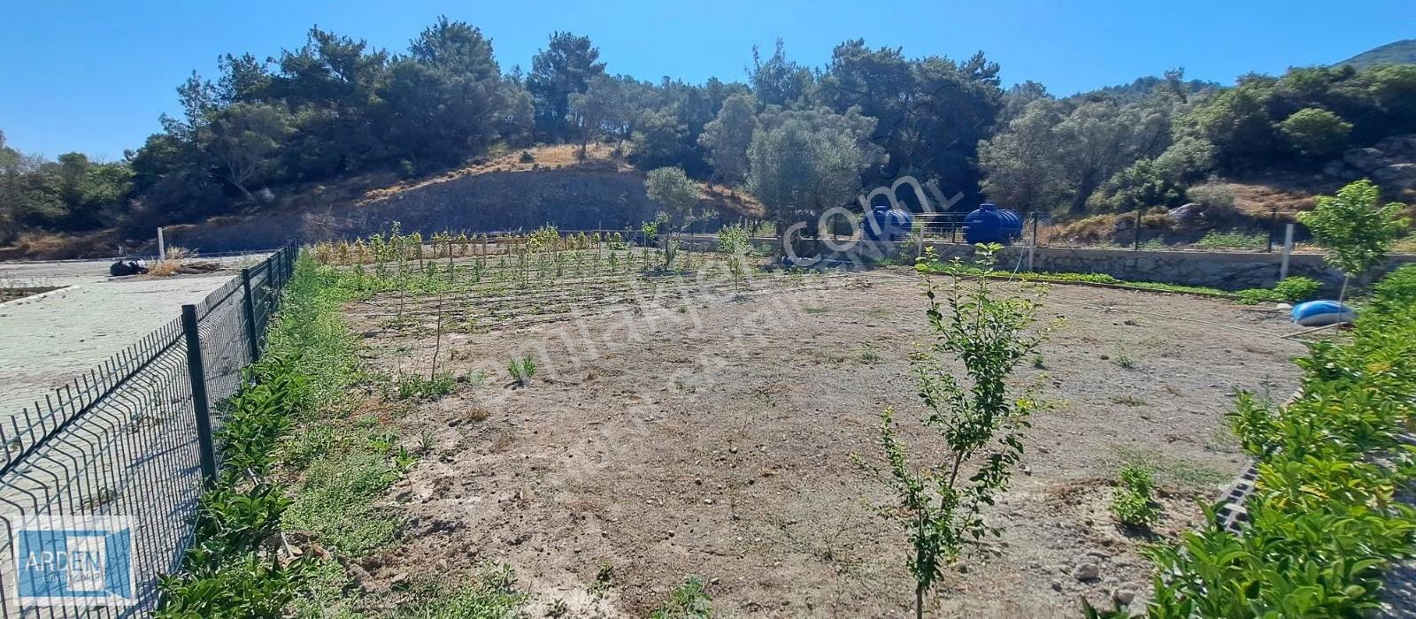 Arden Gyo Dan Kavakdere Köyünde Satılık - Görsel 7