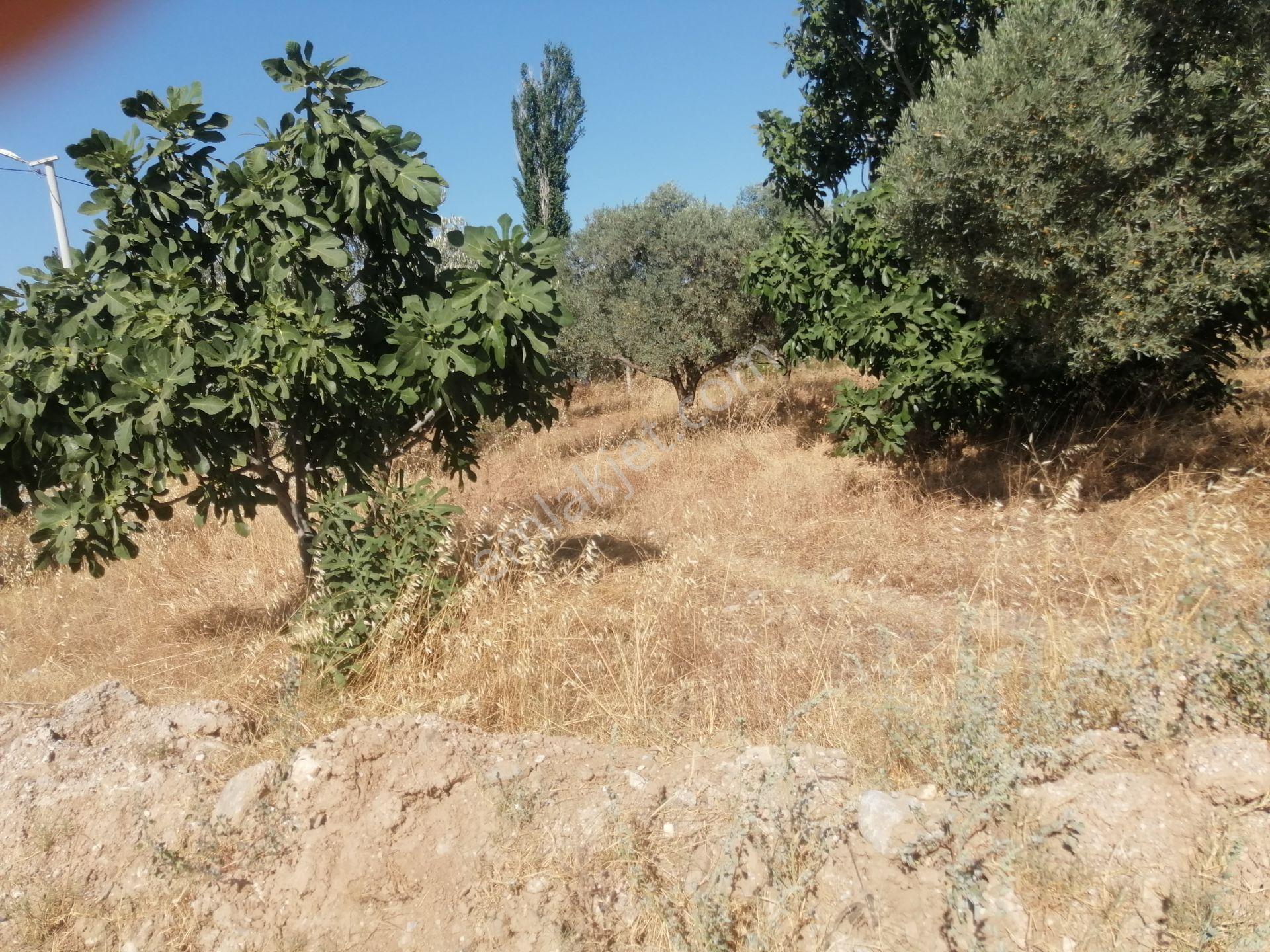 İzmir Torbalı Gold Emlaktan Satılık Konut İmarlı Arsa - Görsel 4