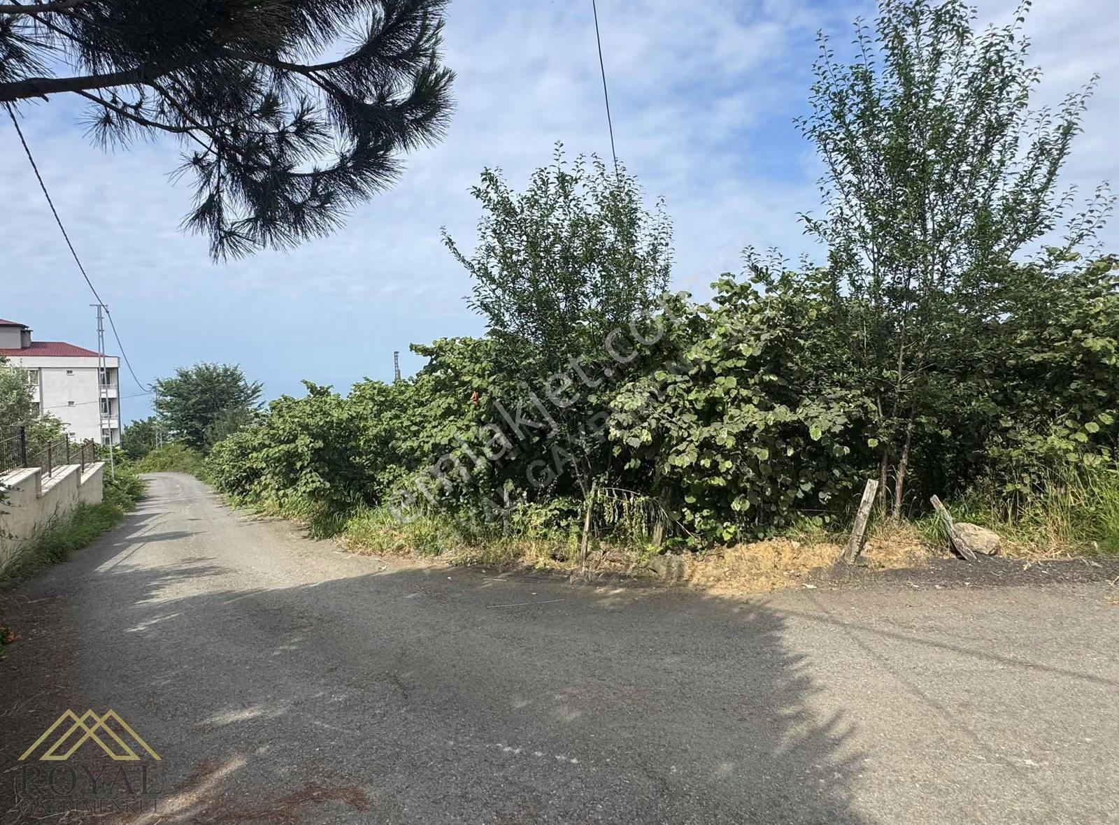 Trabzon Konaklarda Satılık İmarlı Arsa