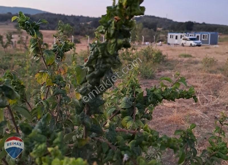 Remax Dan Satılık 76 M Yola Cepheli Çitle Çevrili 6.565 M2 Bahçe