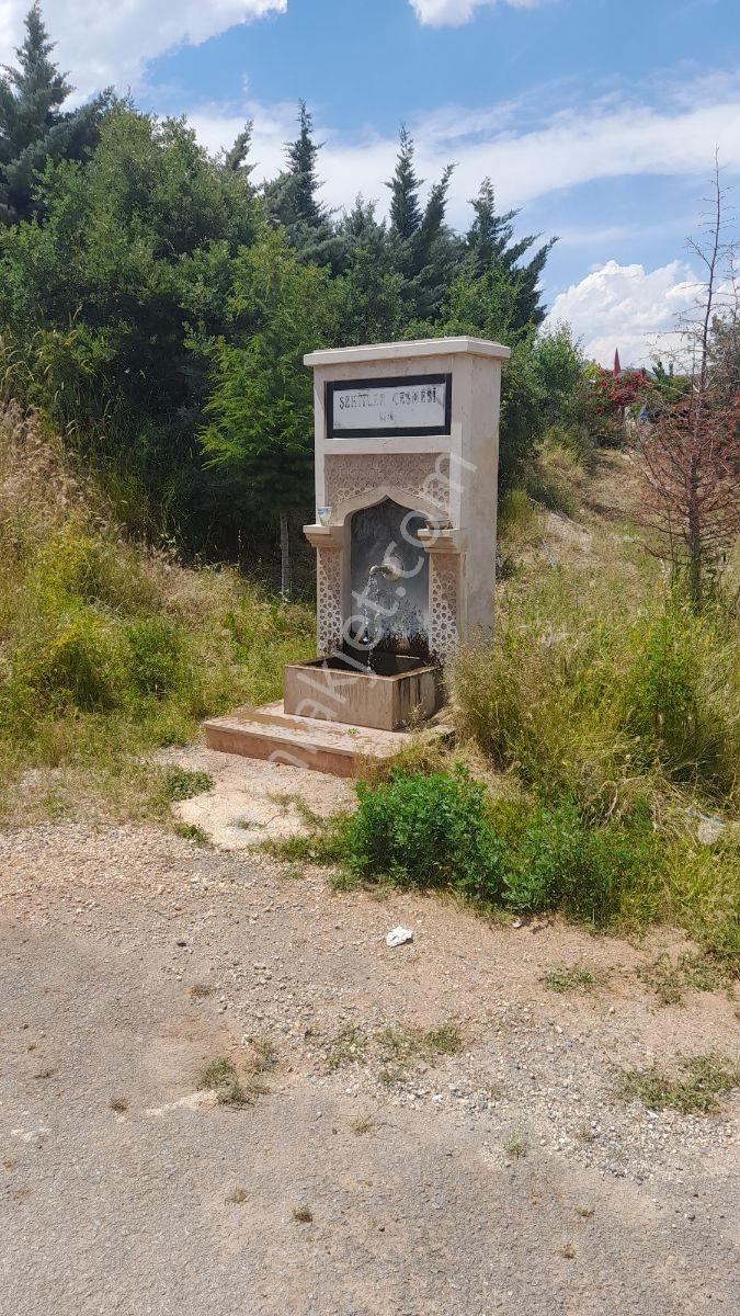 Asfalt Yol Dibi Yerleşimin İçinde Muhteşem Bahçe - Görsel 13