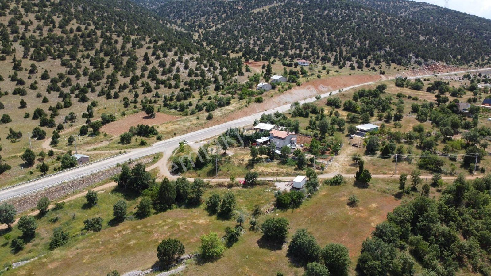 Asfalt Yol Dibi Yerleşimin İçinde Muhteşem Bahçe