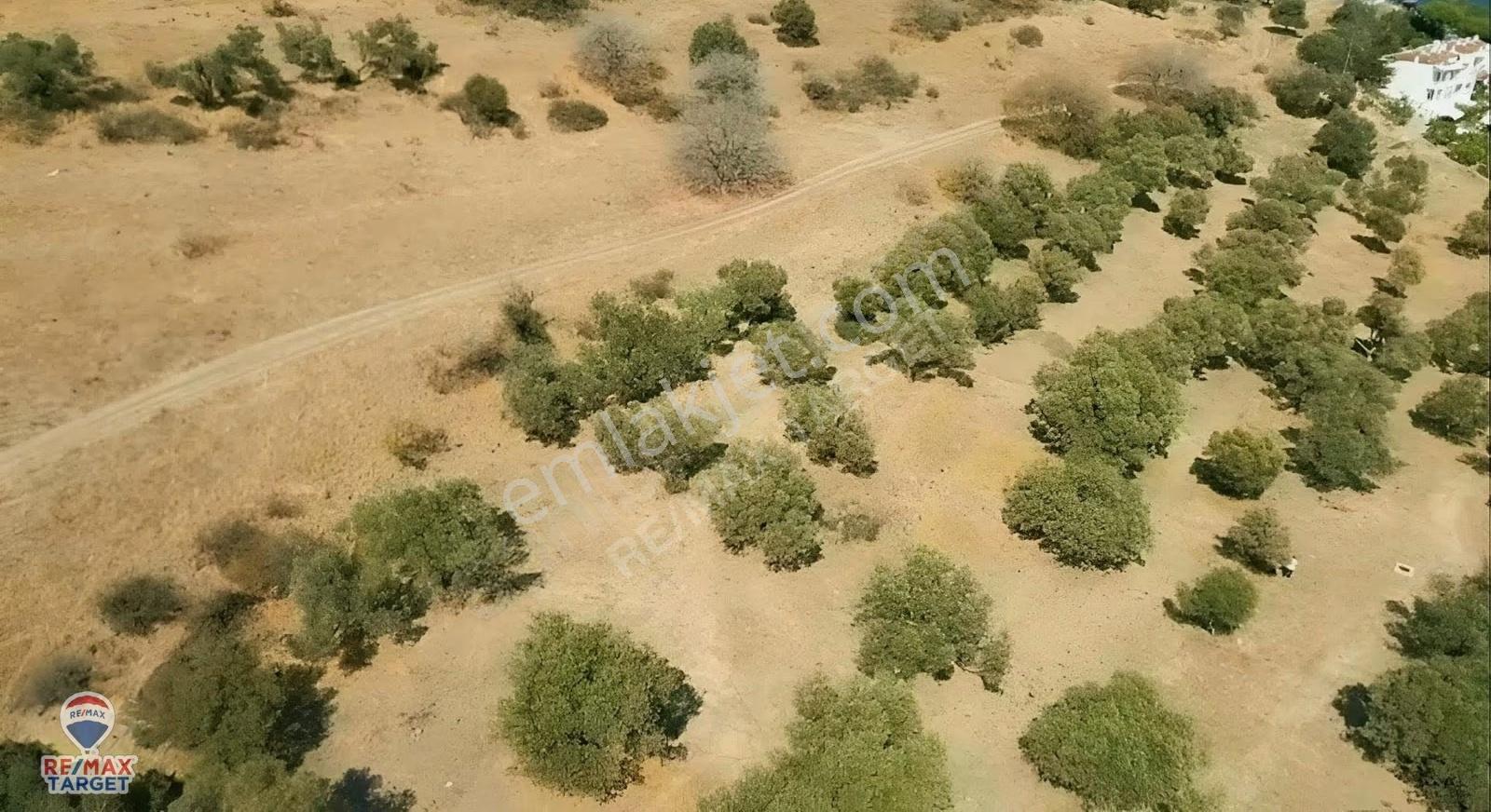 Yenı Foça Petra Koyu'nda, Yatırımlık 971 M² Arsa Hıssesı - Görsel 4