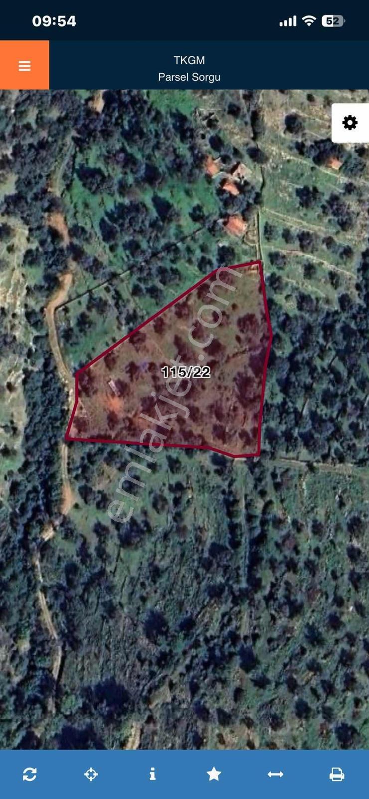 Bodrum Kızılağaç Mevkii 1221m2 Zeytinli Tarla - Görsel 9