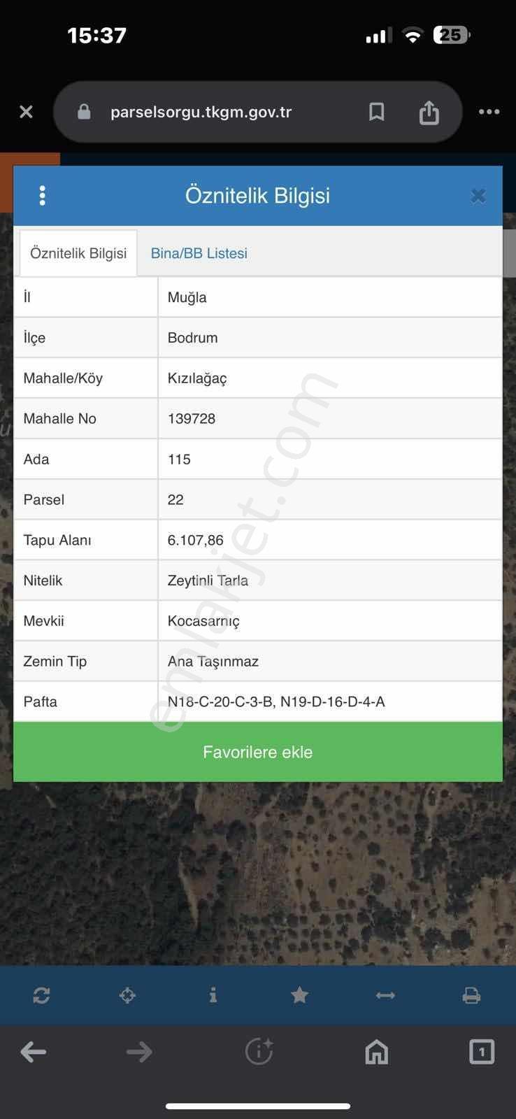 Bodrum Kızılağaç Mevkii 1221m2 Zeytinli Tarla - Görsel 8