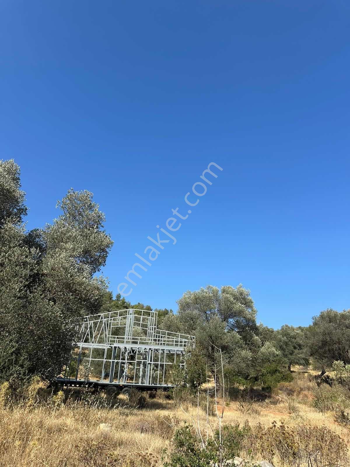 Bodrum Kızılağaç Mevkii 1221m2 Zeytinli Tarla - Görsel 6