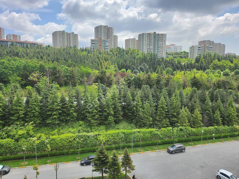 Küçükçekmece Atakent Soyak Olımypiakent Te Arakat Satılık 1+1 60m2 Daire - Görsel 21