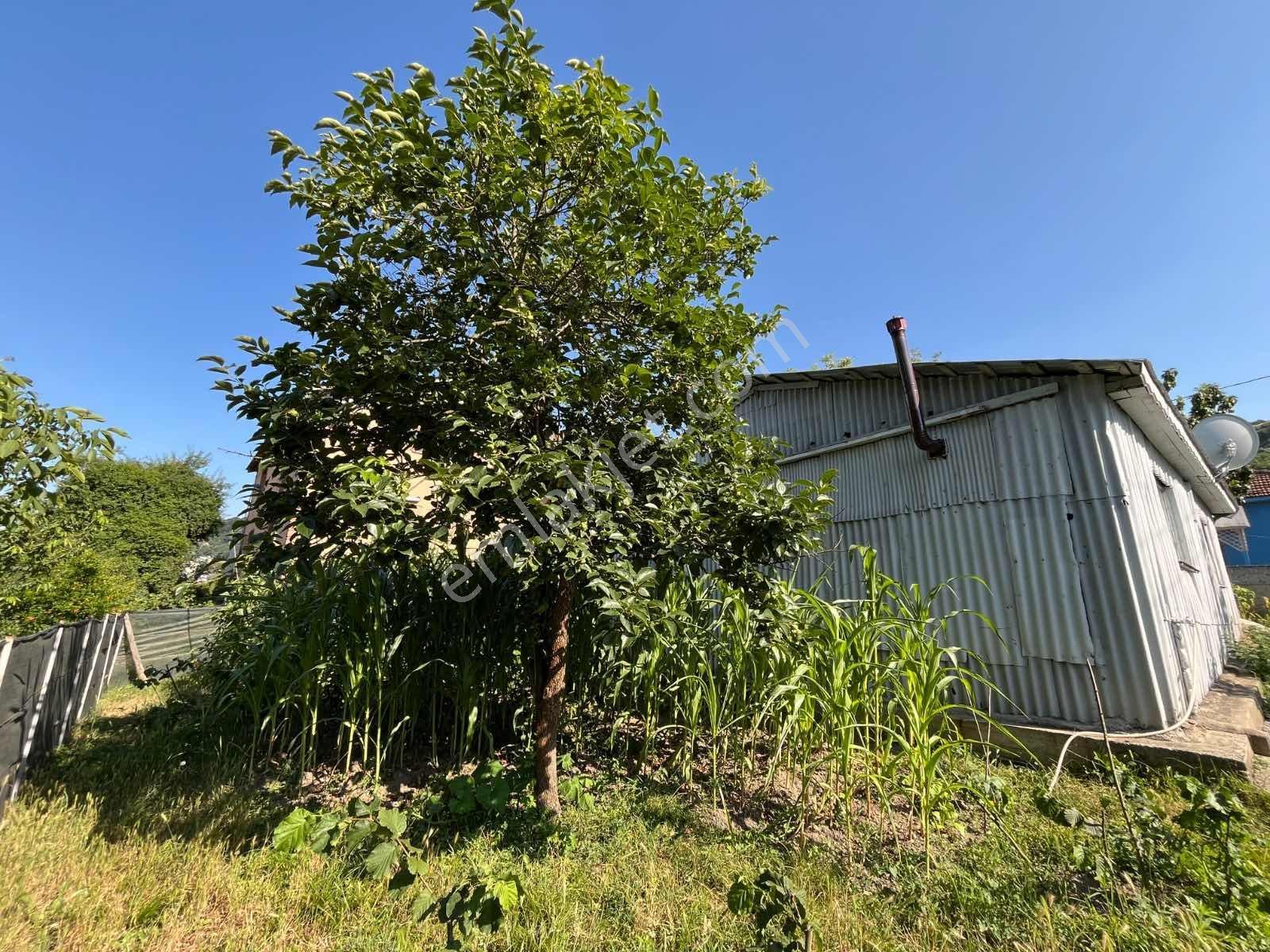 Ruşen Aydın Gyd'dan Kaynaşlı Sarıyer'de Köşe Başı Arsa Ve Ev - Görsel 26