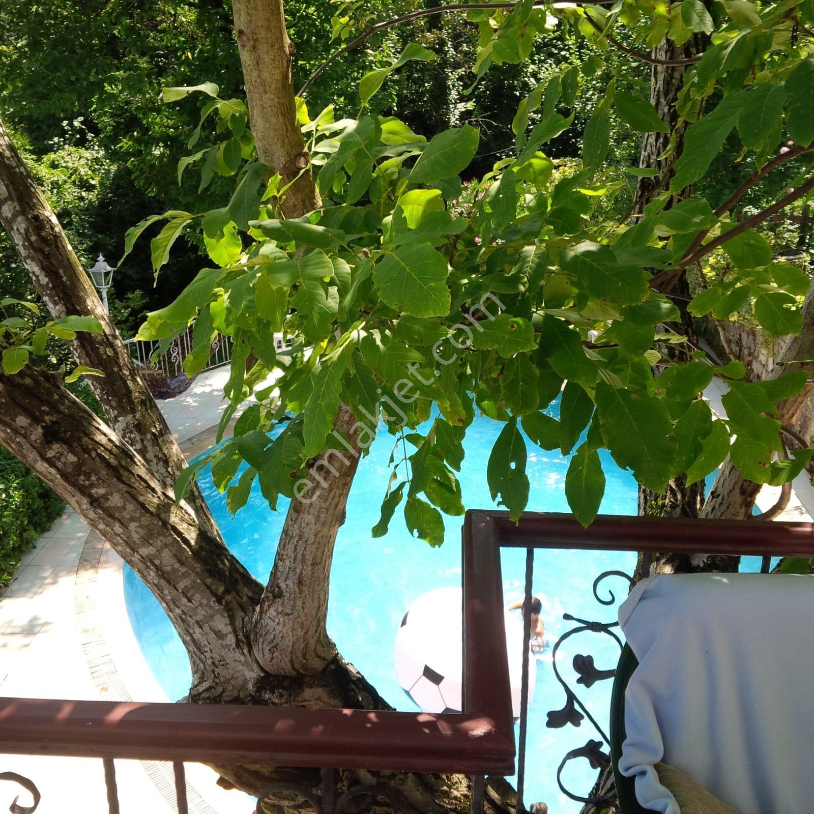Kartepe - Maşukiye Göl Manzaralı Geniş Arazili Satılık Villa - Görsel 11