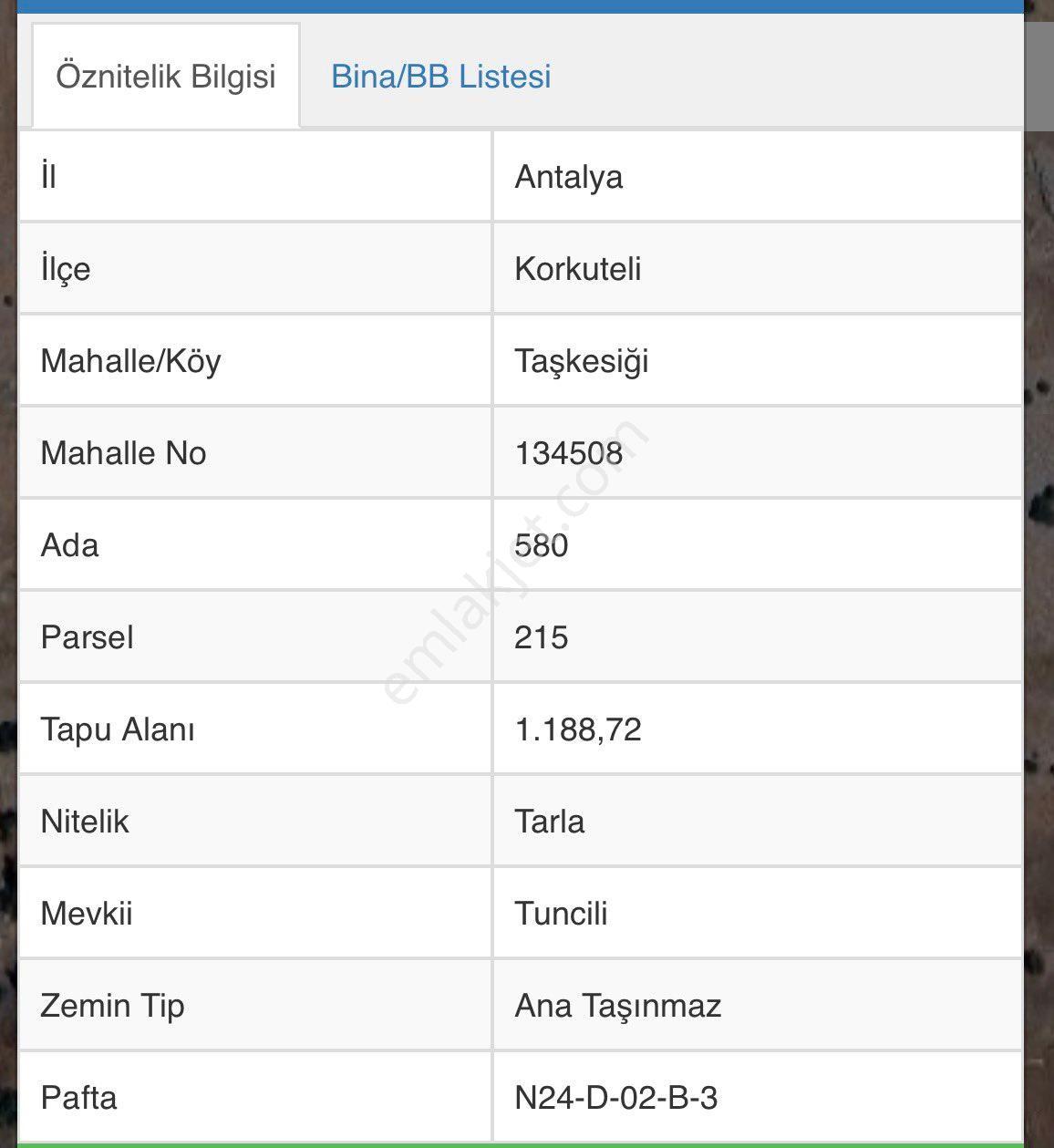 Yaylada Resmı Yolu Mevcut Muhteşem Konumda Müstakıl Tarla - Görsel 2