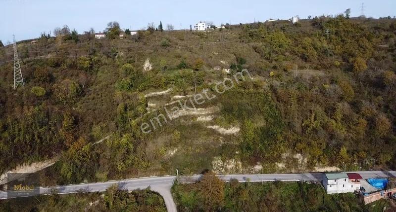 Fatsa Yenipazar Mh. Ilıca Yoluna Cephe Yolu Açık 1867m2 Bahçe - Görsel 10