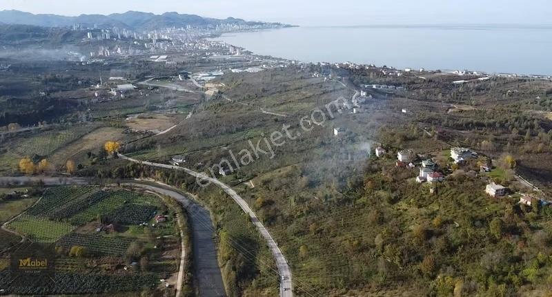 Fatsa Yenipazar Mh. Ilıca Yoluna Cephe Yolu Açık 1867m2 Bahçe - Görsel 11