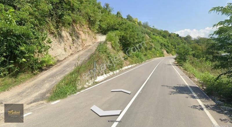 Fatsa Yenipazar Mh. Ilıca Yoluna Cephe Yolu Açık 1867m2 Bahçe
