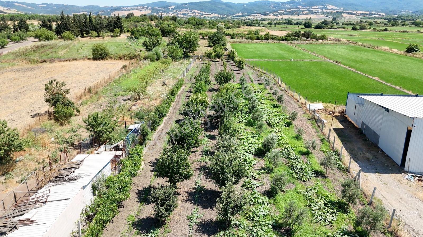 Satılık Merkeze 4 Dk 2237 M2 %40 İki Kat İmarlı Arsa Ve Tarla - Görsel 2