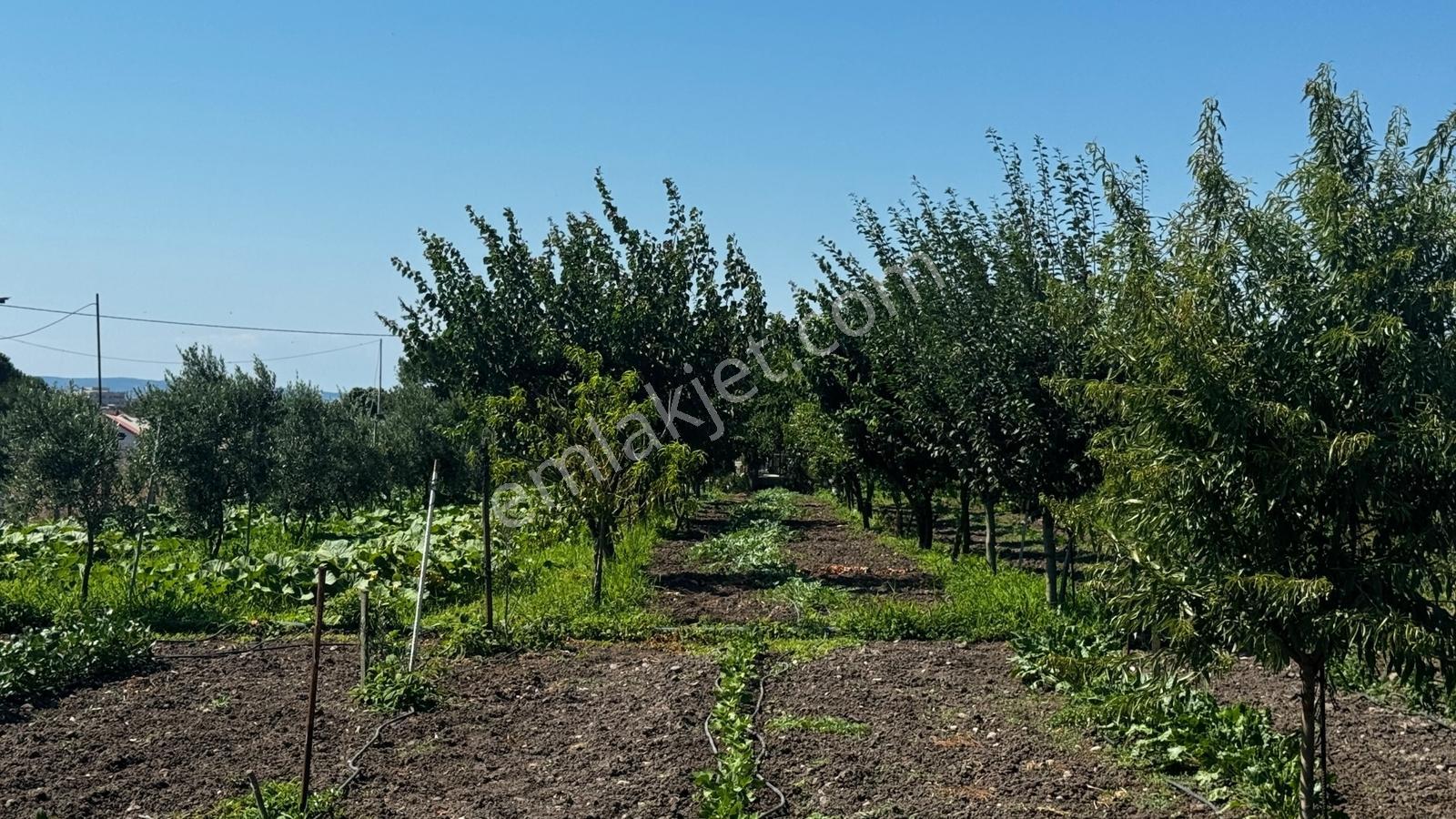 Satılık Merkeze 4 Dk 2237 M2 %40 İki Kat İmarlı Arsa Ve Tarla - Görsel 4