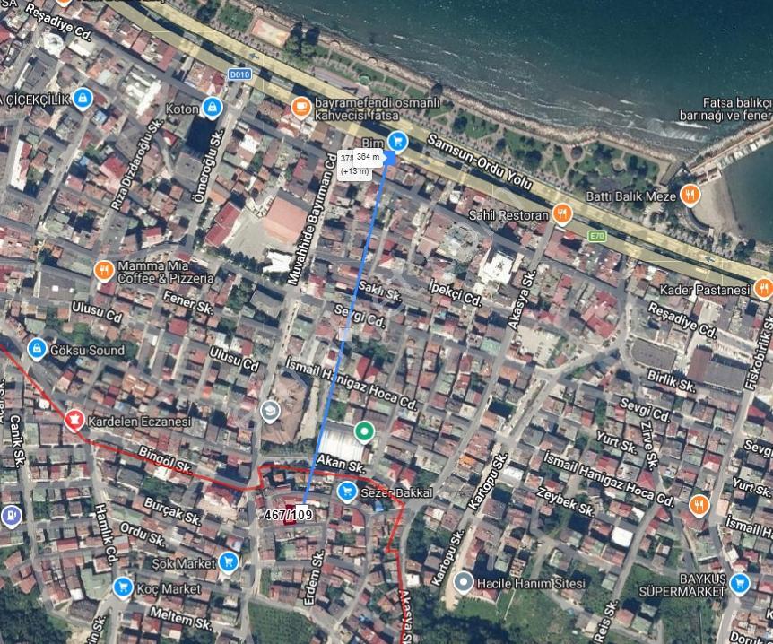Ordu Fatsa Eşi Benzeri Zor Bulunacak Yatırım Fırsatı - Görsel 10