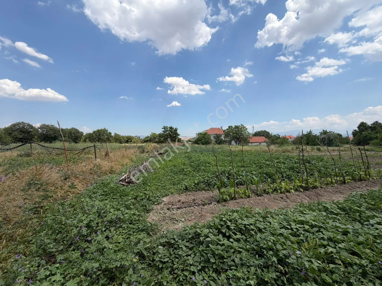 Korkuteli Akyar Mahallesi 226 Ada 5 Parsel
