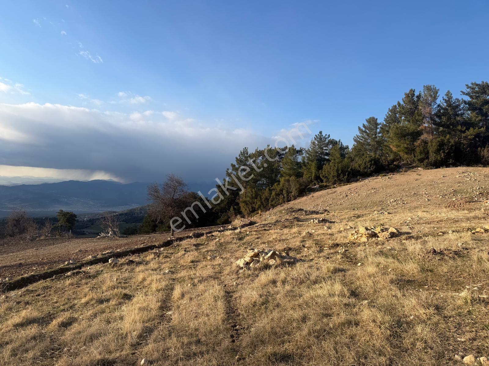 Seydikemer Yaka Da Satılık Arazi - Görsel 9