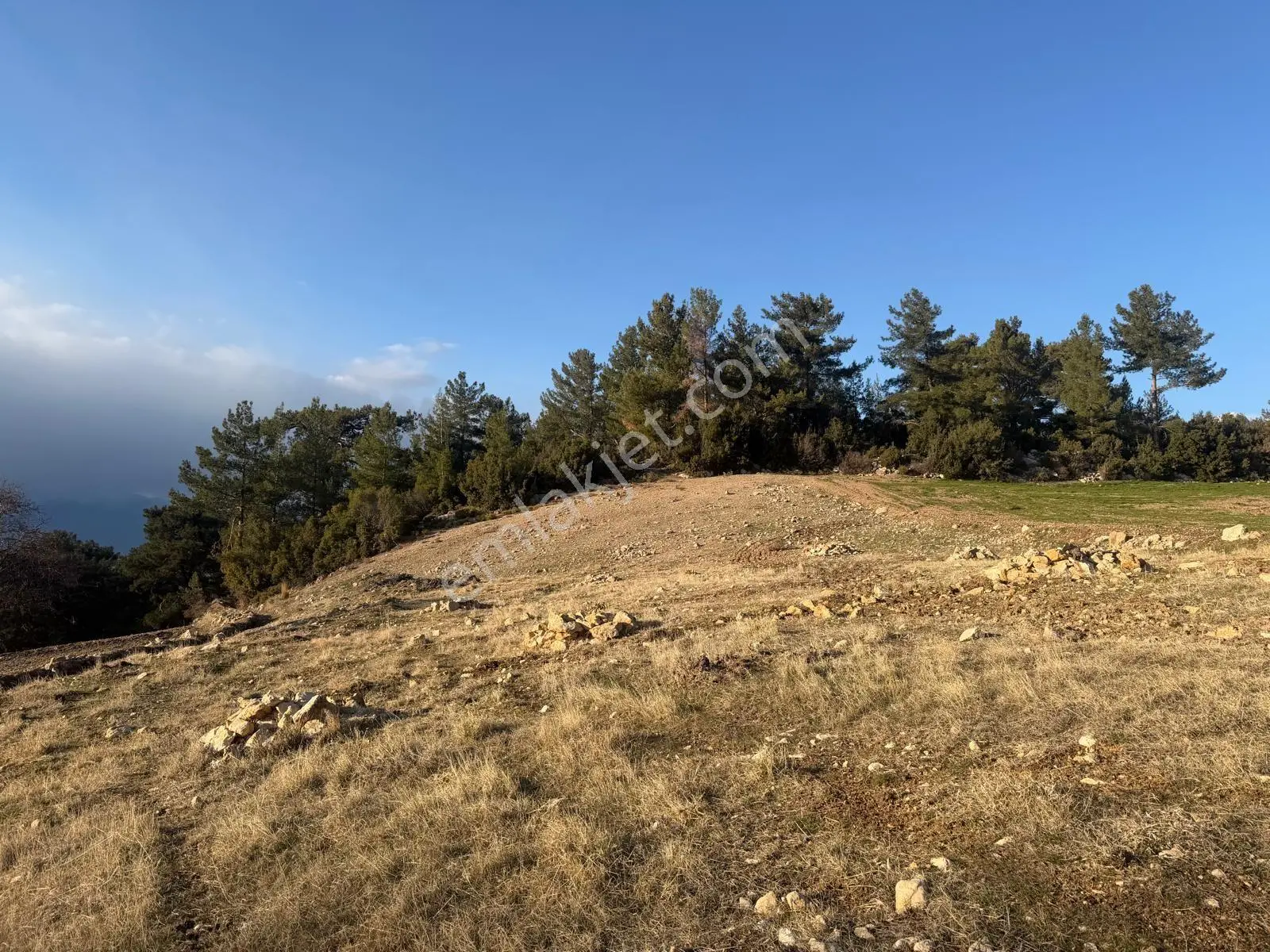 Seydikemer Yaka Da Satılık Arazi - Görsel 5