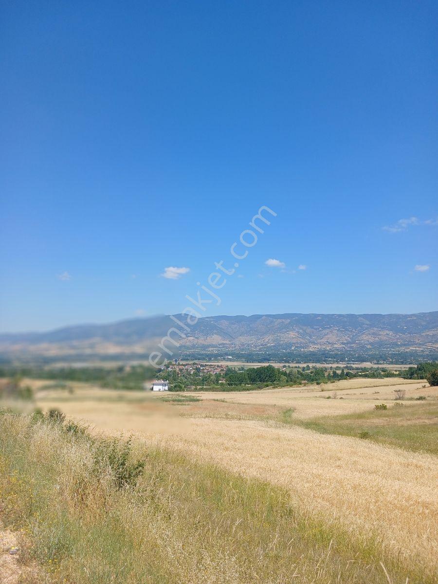 Tokat Bizim Emlaktan Satılık Bahce - Görsel 2