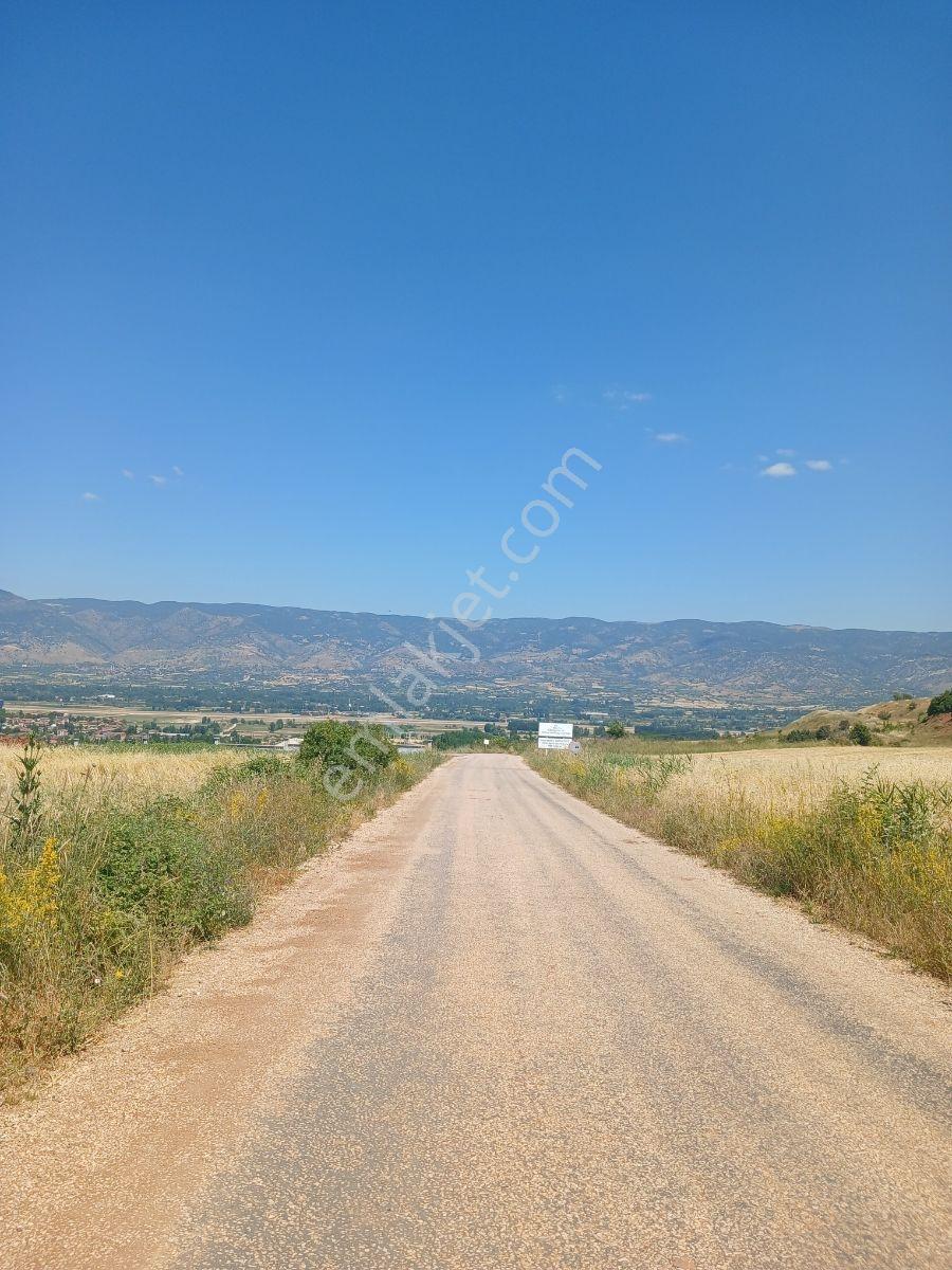 Tokat Bizim Emlaktan Satılık Bahce - Görsel 5