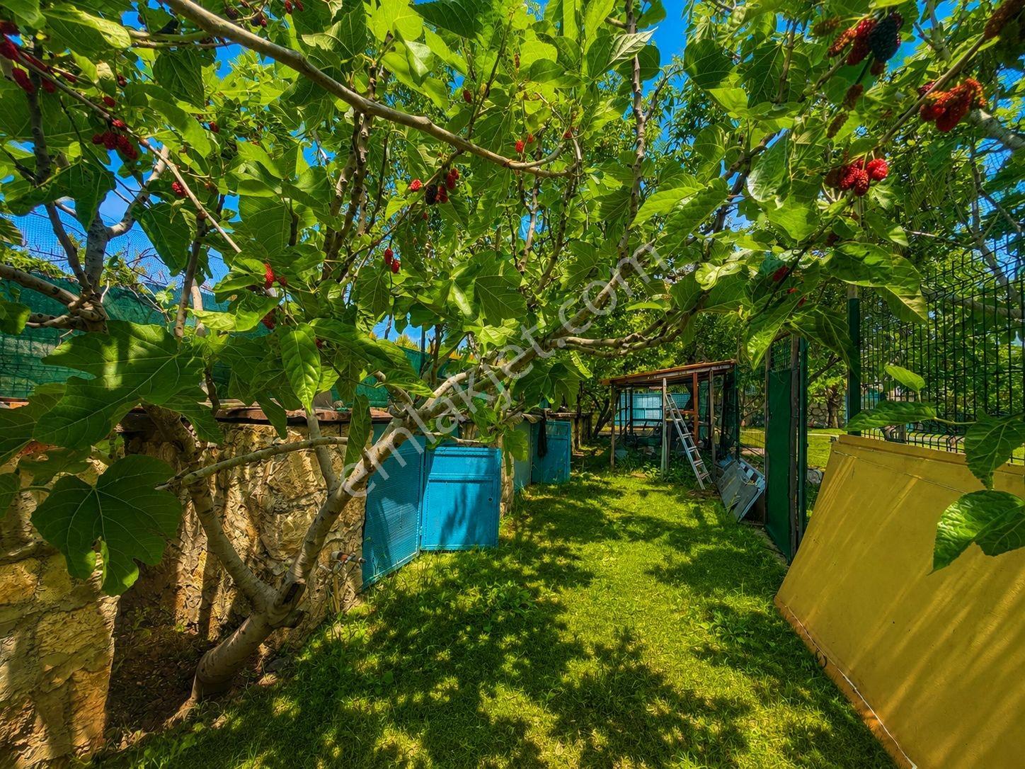 Buca Kaynaklar Doğa İçi Özel Yaşam Alanı Havuzlu Satılık Villa - Görsel 18
