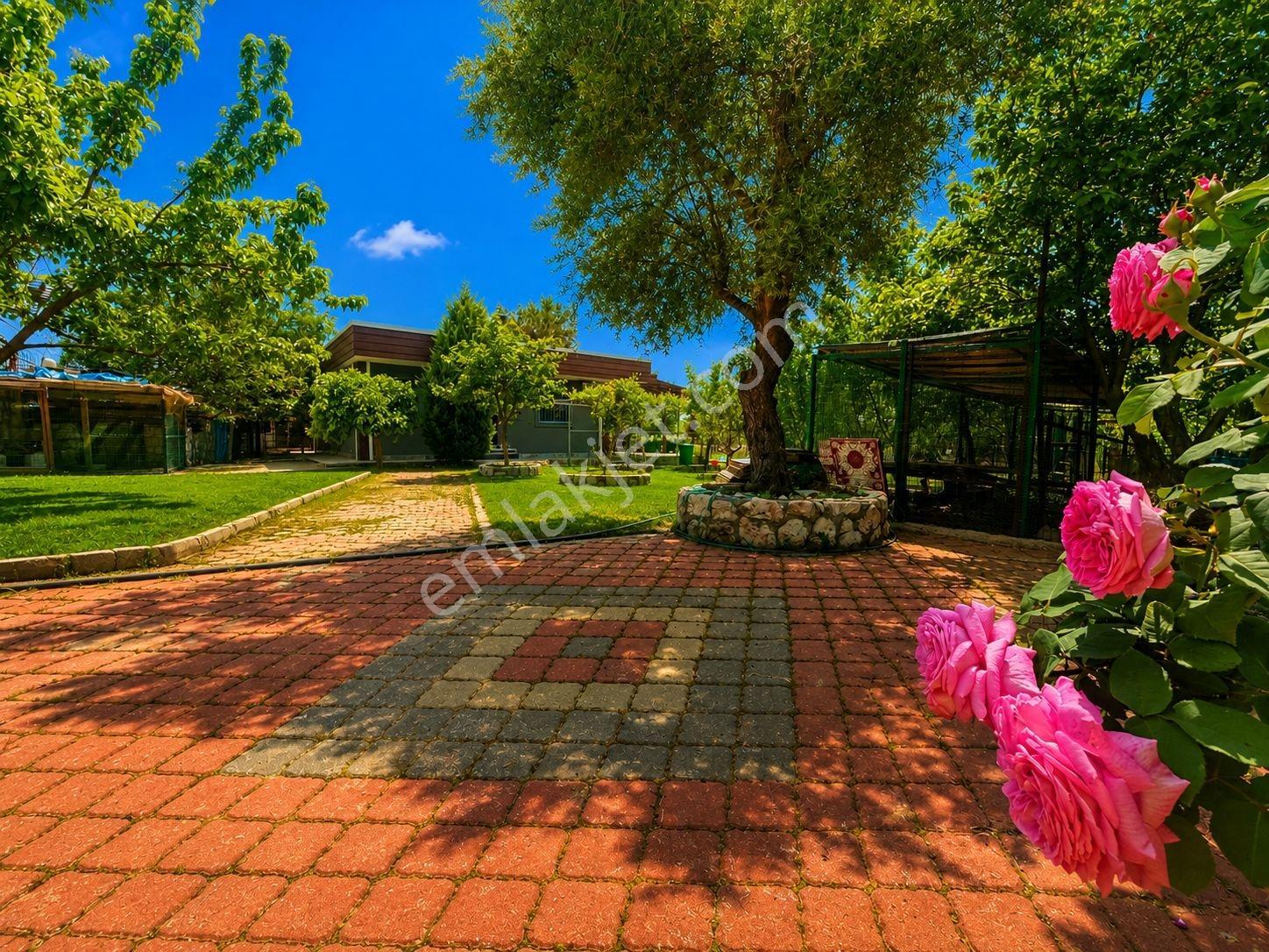 Buca Kaynaklar Doğa İçi Özel Yaşam Alanı Havuzlu Satılık Villa - Görsel 20