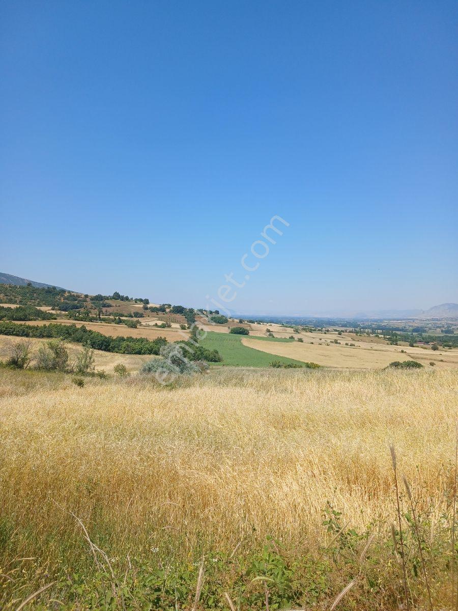 Tokat Bizim Emlaktan Satılık - Görsel 2