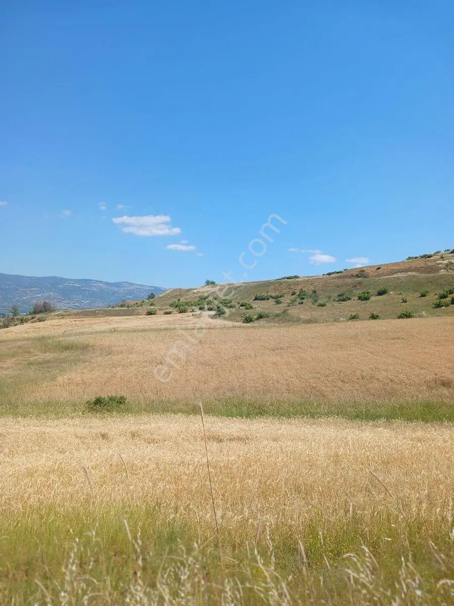 Tokat Bizim Emlaktan Satılık - Görsel 3