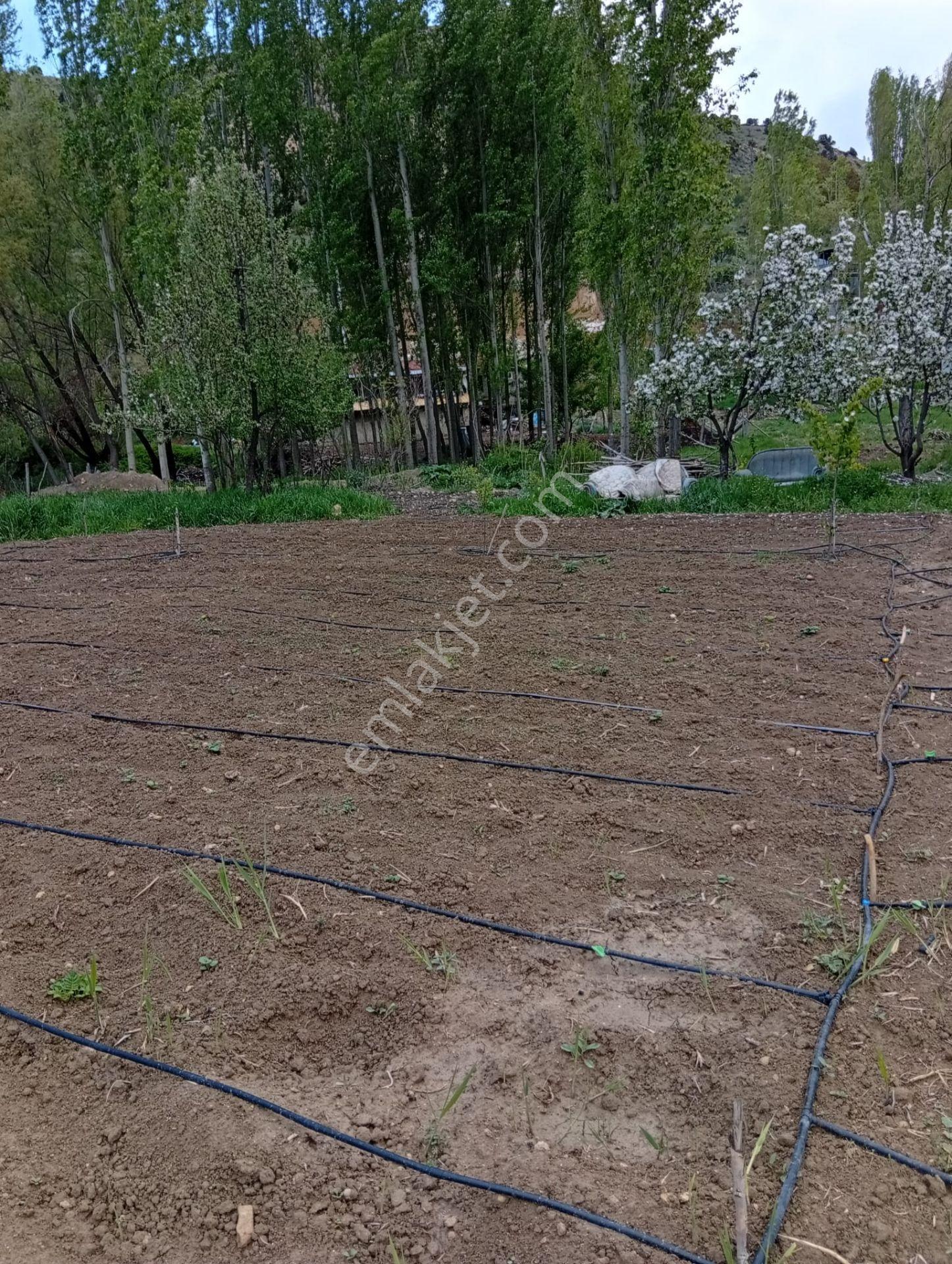 Karaman Lale Köyü'nde Dereye Sıfır 2055m² Satılık Bahçe! - Görsel 12