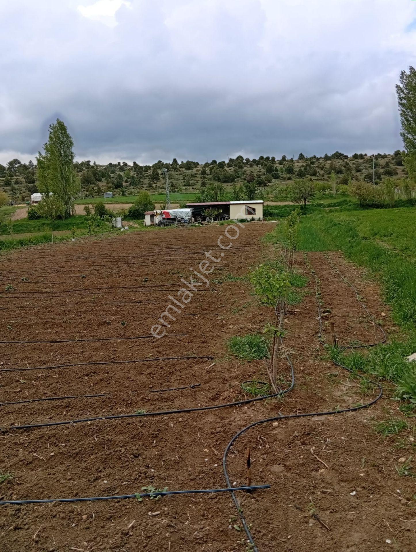 Karaman Lale Köyü'nde Dereye Sıfır 2055m² Satılık Bahçe! - Görsel 6