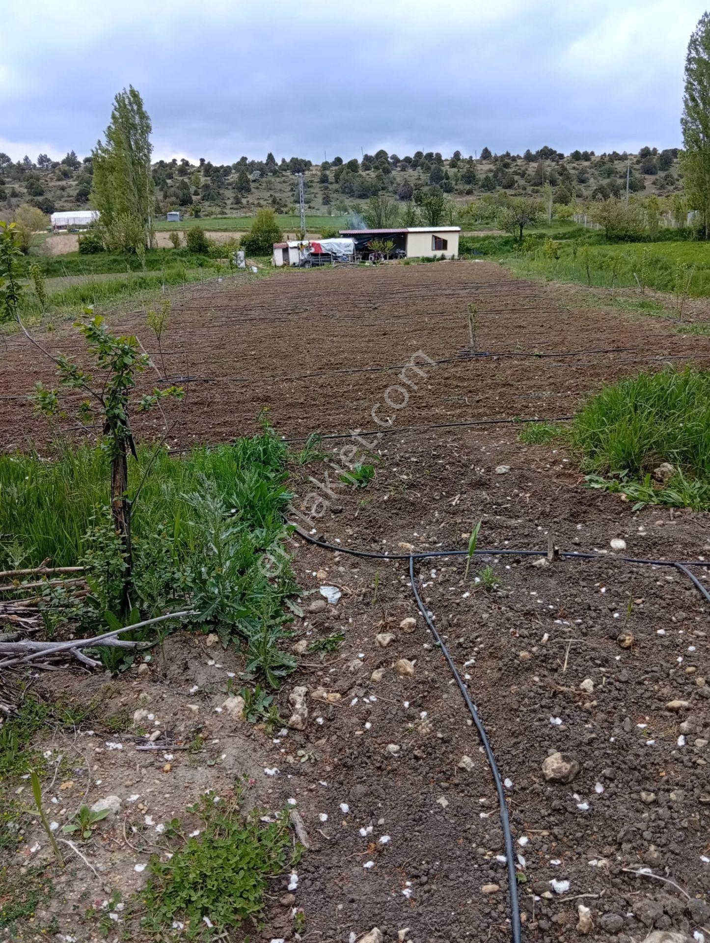 Karaman Lale Köyü'nde Dereye Sıfır 2055m² Satılık Bahçe! - Görsel 8
