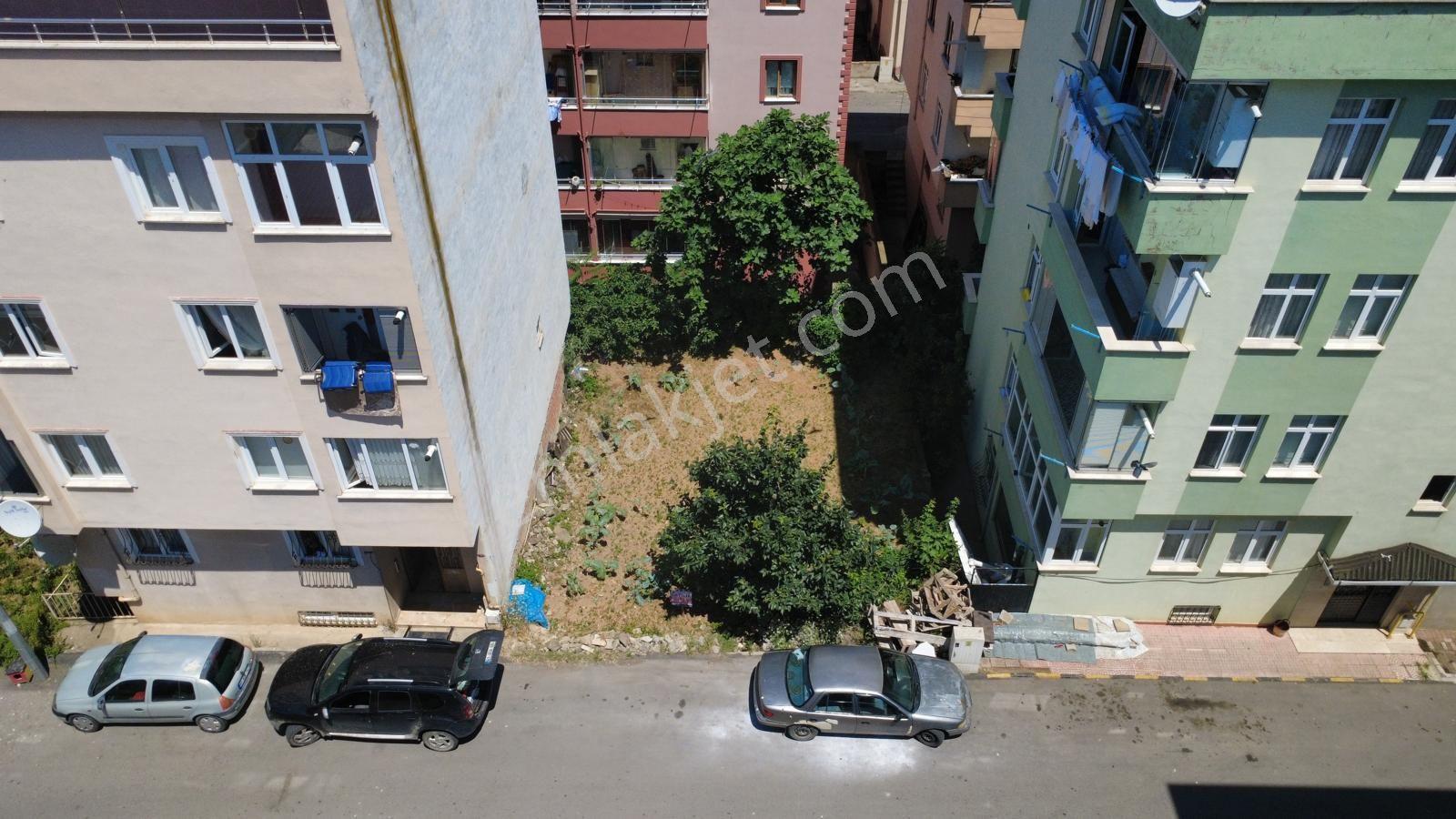 Trabzon Pelitli'de Satılık 4 Kat İmarlı Arsa - Görsel 12