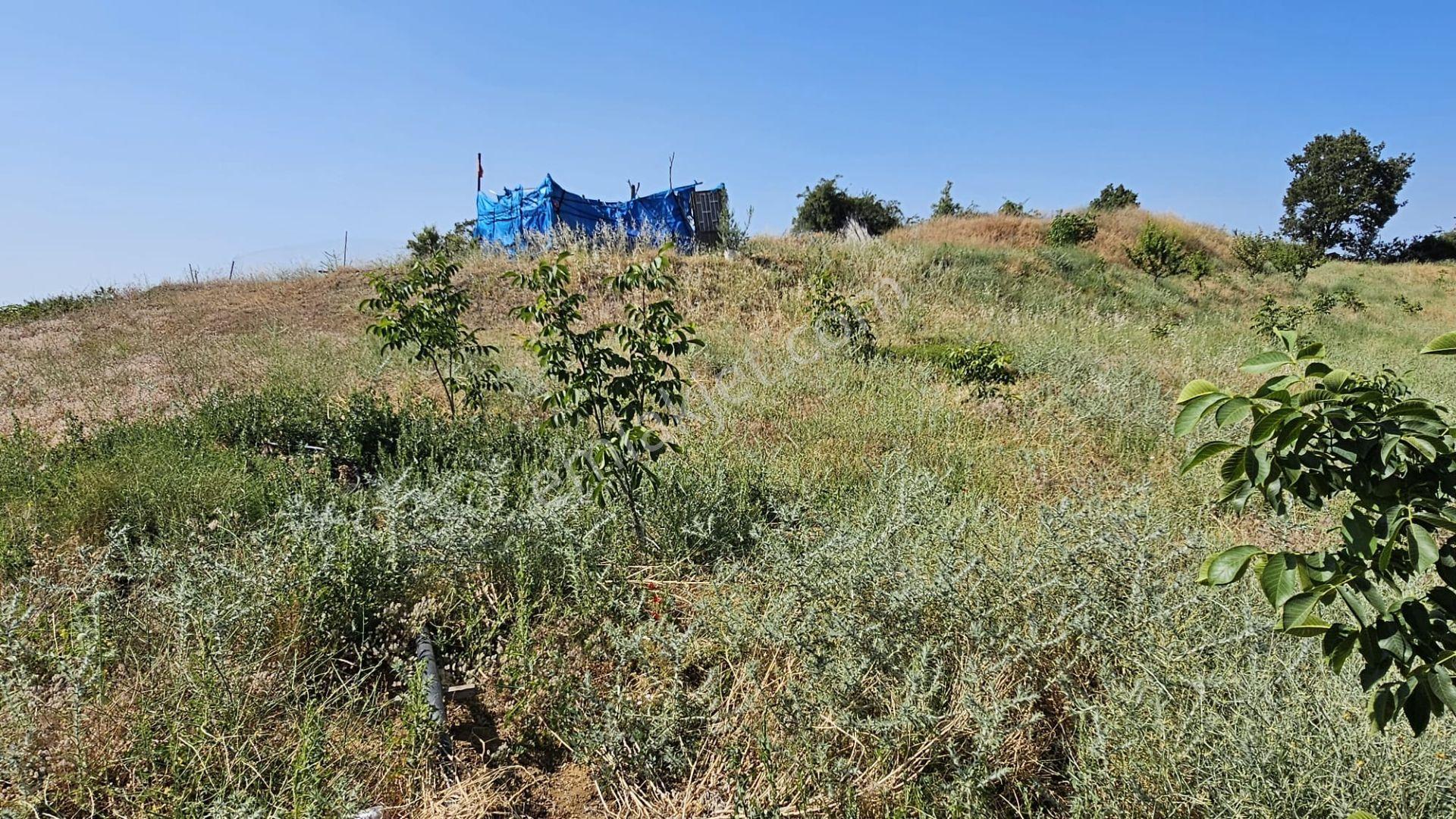 Yuvam Gayrimenkul'dan Manisa Salihli Çelikli Mah. Satılık Tarla - Görsel 15