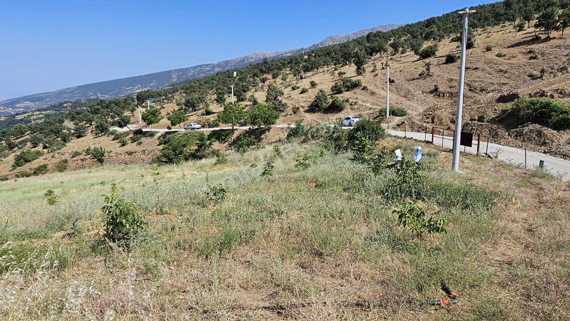 Yuvam Gayrimenkul'dan Manisa Salihli Çelikli Mah. Satılık Tarla - Görsel 8